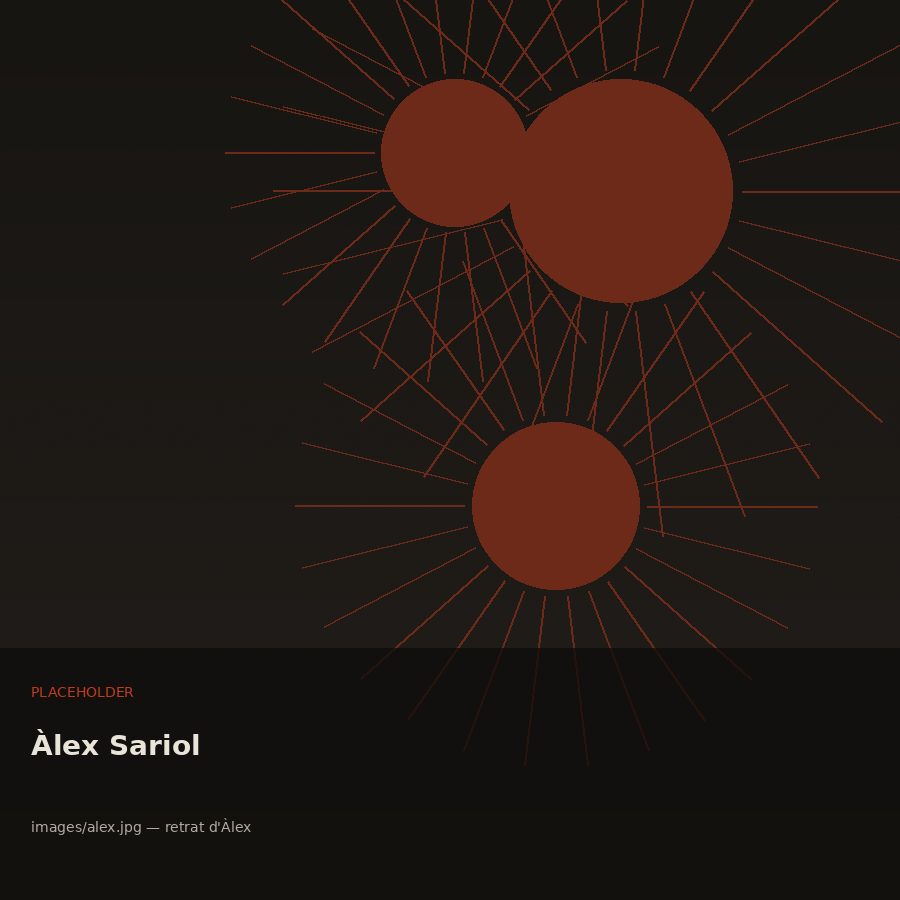 Retrat d'Àlex Sariol