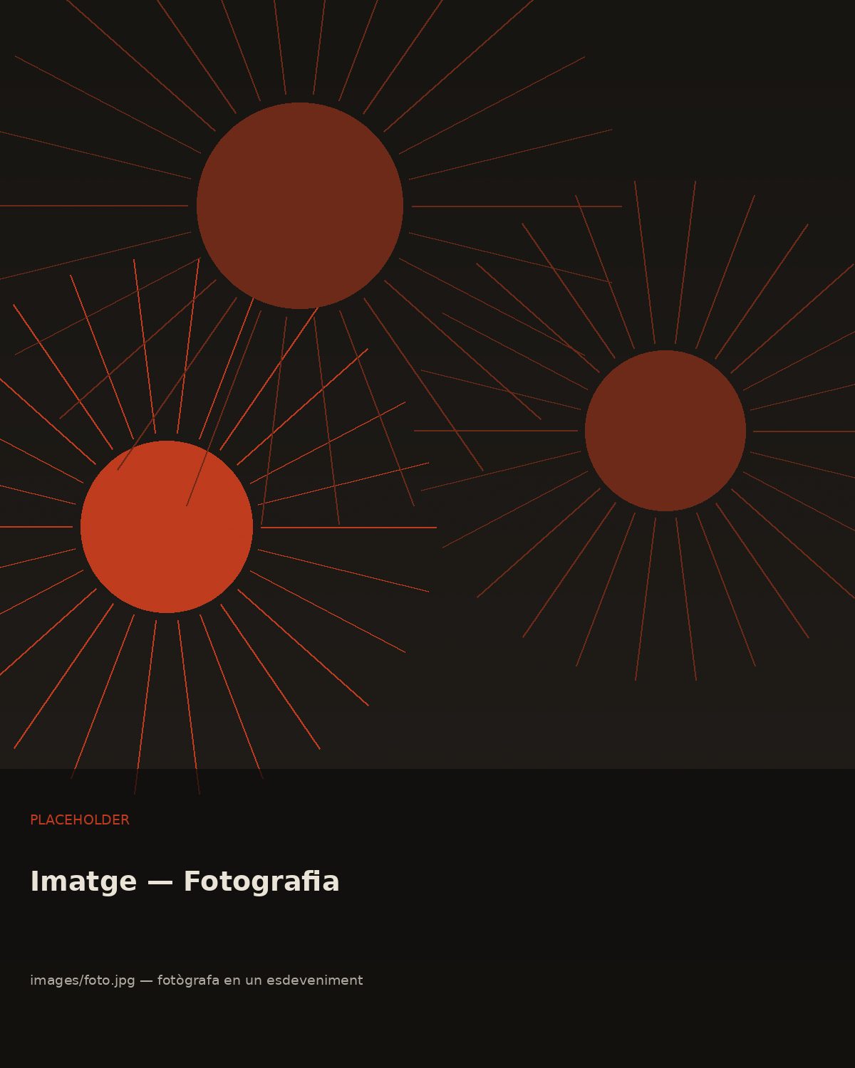 Fotògrafa treballant durant un esdeveniment